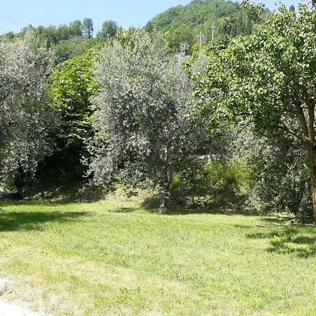 Casa Gina Garden And View By Gardadomusmea Villa Tremosine Exterior photo