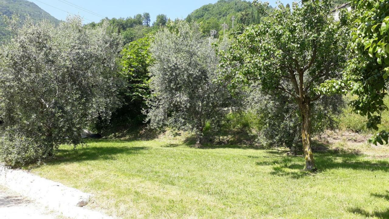Casa Gina Garden And View By Gardadomusmea